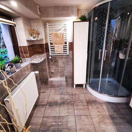 Apartament Aldi Bielsko-Biala Bagian luar foto