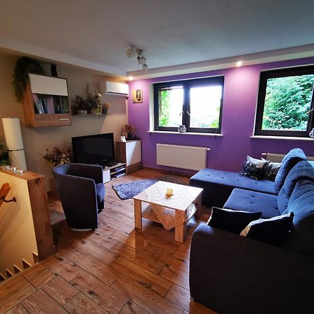 Apartament Aldi Bielsko-Biala Bagian luar foto