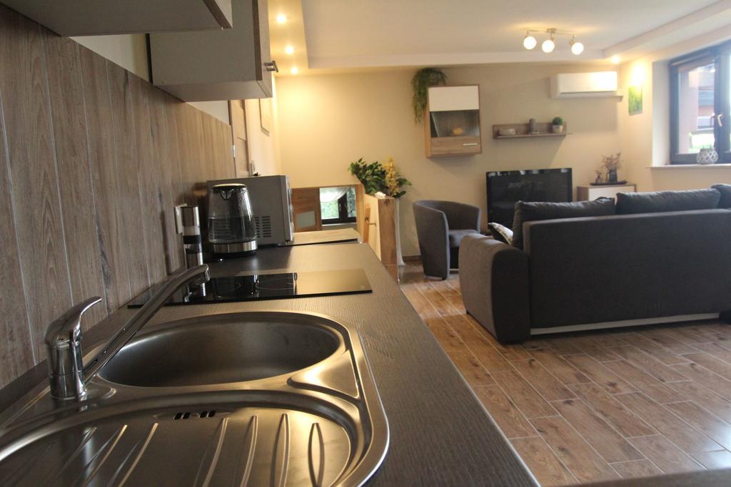Apartament Aldi Bielsko-Biala Bagian luar foto
